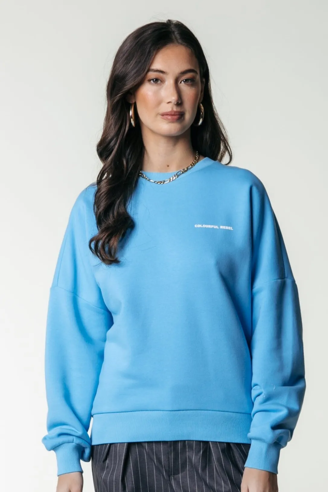 Colourful Rebel Truien< Logo Sweat | Mist Blue