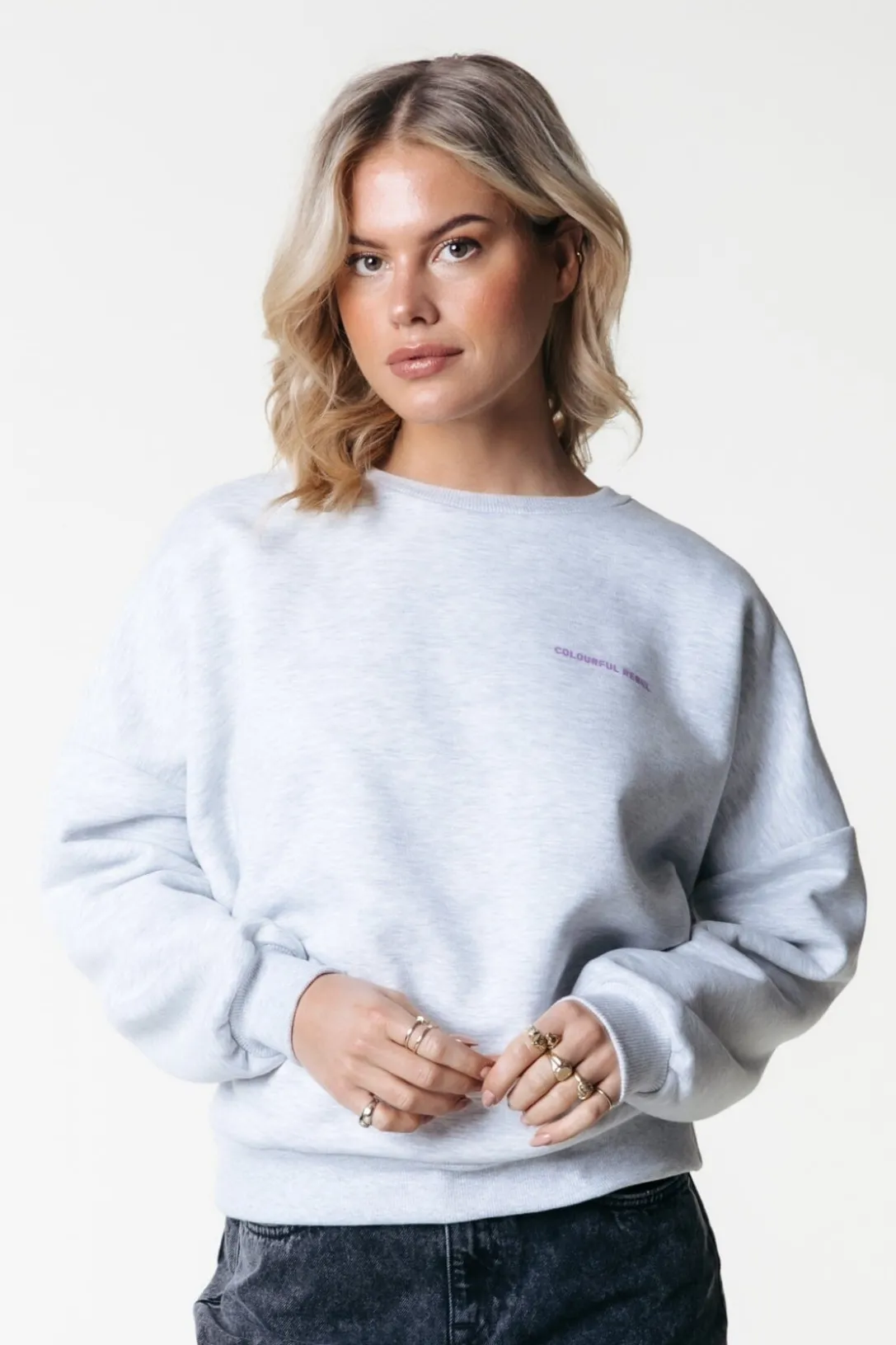 Colourful Rebel Truien<Flower World Tour Sweat | Light grey melange