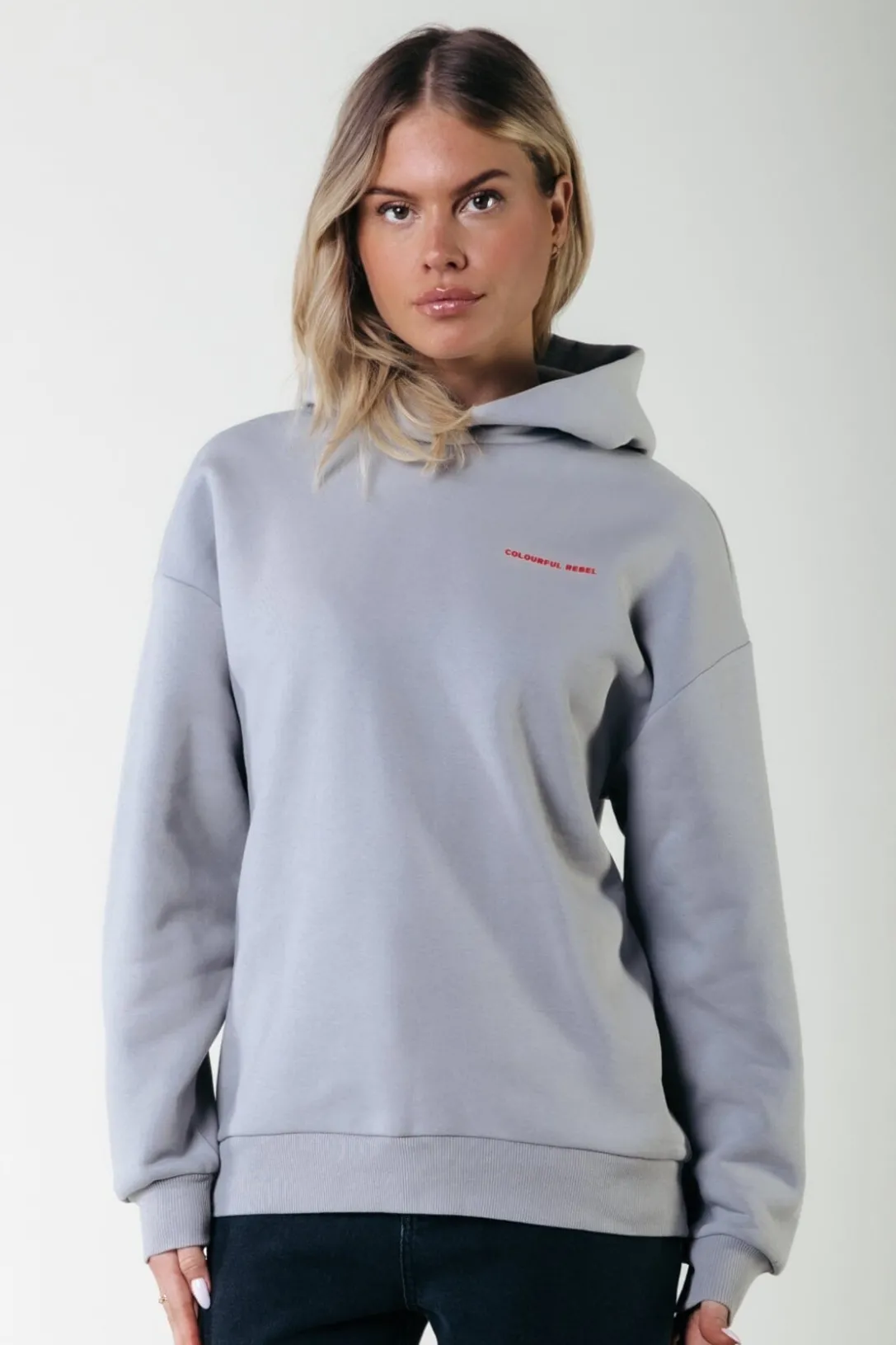 Colourful Rebel Hoodies<World Tour Hoodie | Light grey